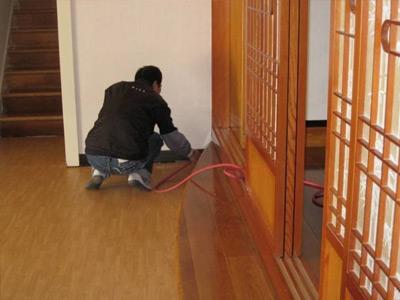 家里有該白蟻怎么辦？